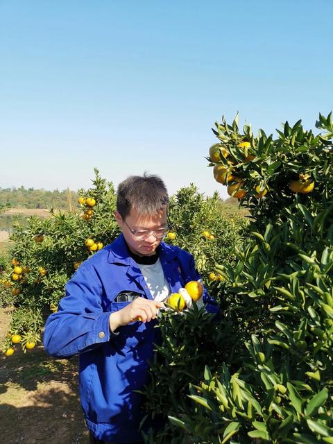 首页|5001拉斯维加斯集团官方网站