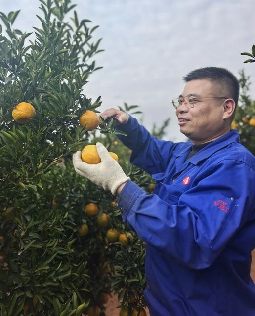 首页|5001拉斯维加斯集团官方网站