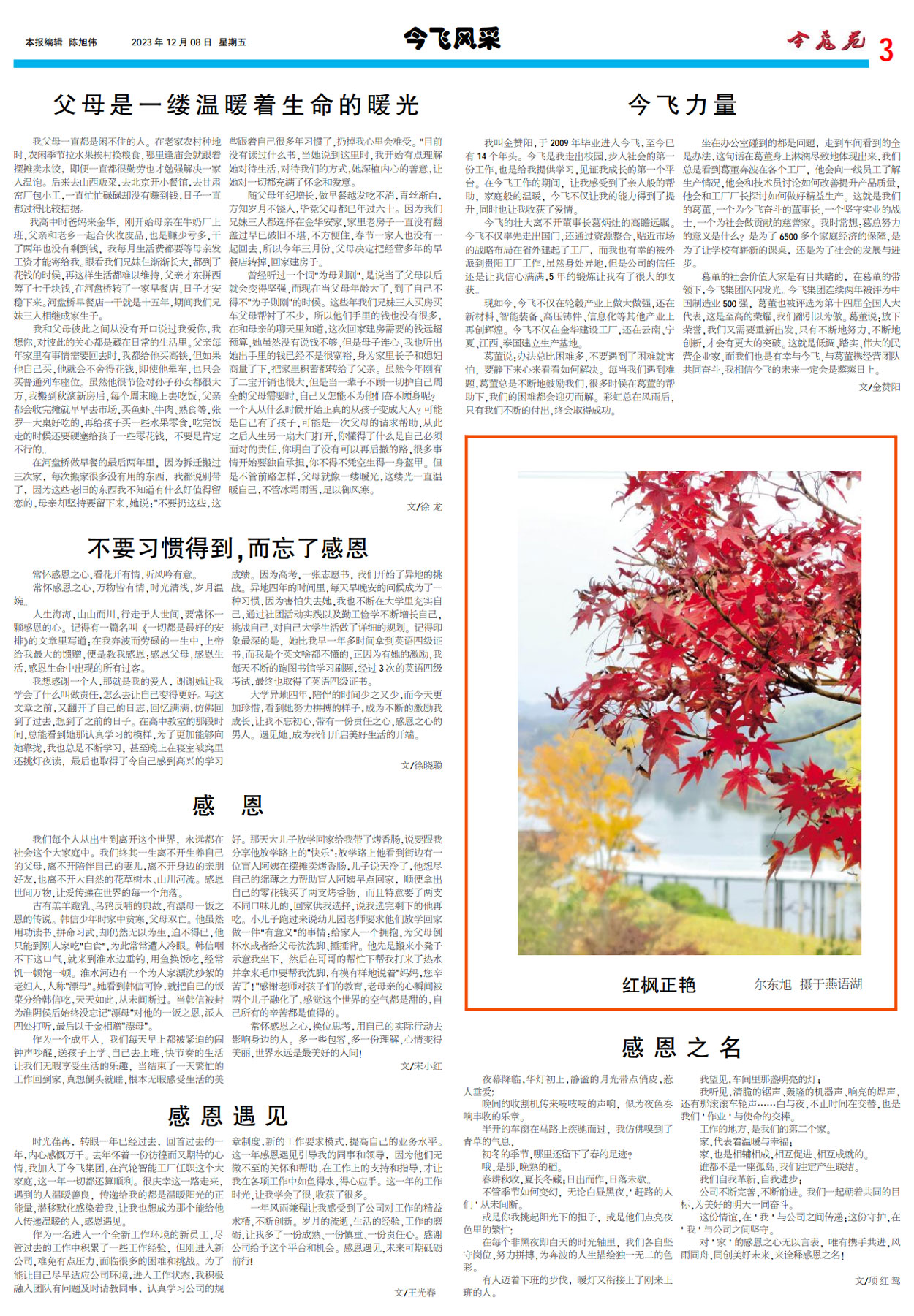 pic20231212100929c2n